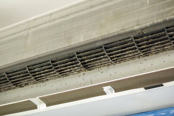 Best Dryer Vent Cleaning Services  in Kittery Point, ME